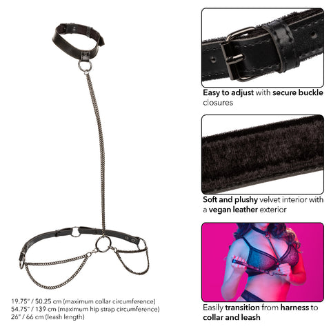 Euphoria Collection Plus Size Black Chain Halter Collar and Leash Set with Velvet Lining and Vegan Leather Womens Harnesses