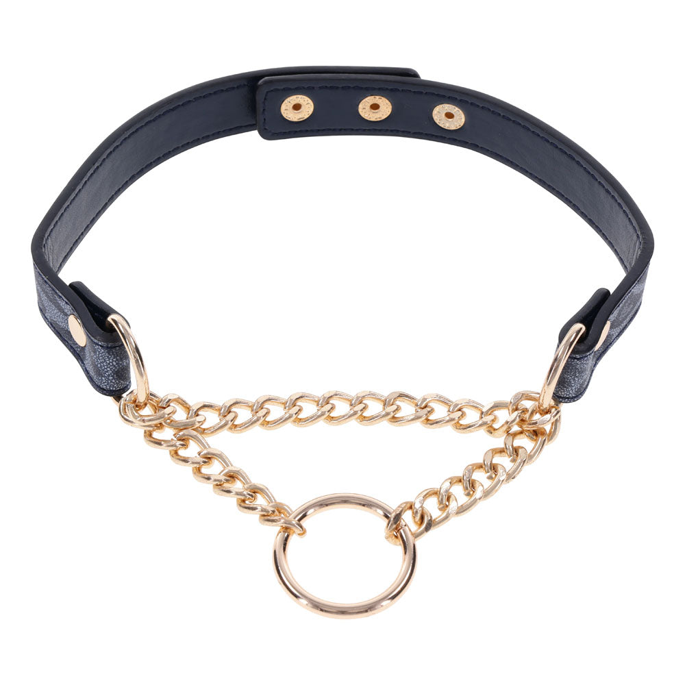 Sex & Mischief Cougar Day Collar Navy and Gold with Chain and Ring Size 38-43 cm > Bondage Gear > Collars & Leashes