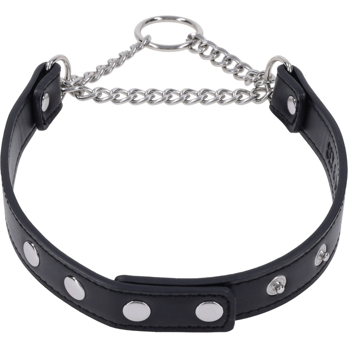 Shadow Day Collar – Faux Leather Collar with Silver Hardware > Bondage Gear > Collars & Leashes