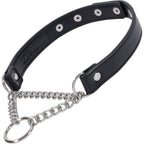 Shadow Day Collar – Faux Leather Collar with Silver Hardware > Bondage Gear > Collars & Leashes