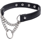 Shadow Day Collar – Faux Leather Collar with Silver Hardware > Bondage Gear > Collars & Leashes