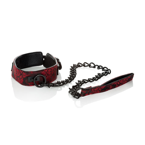 Scandal Collar and Leash Set – Erotic Clothing > Bondage Gear > Collars