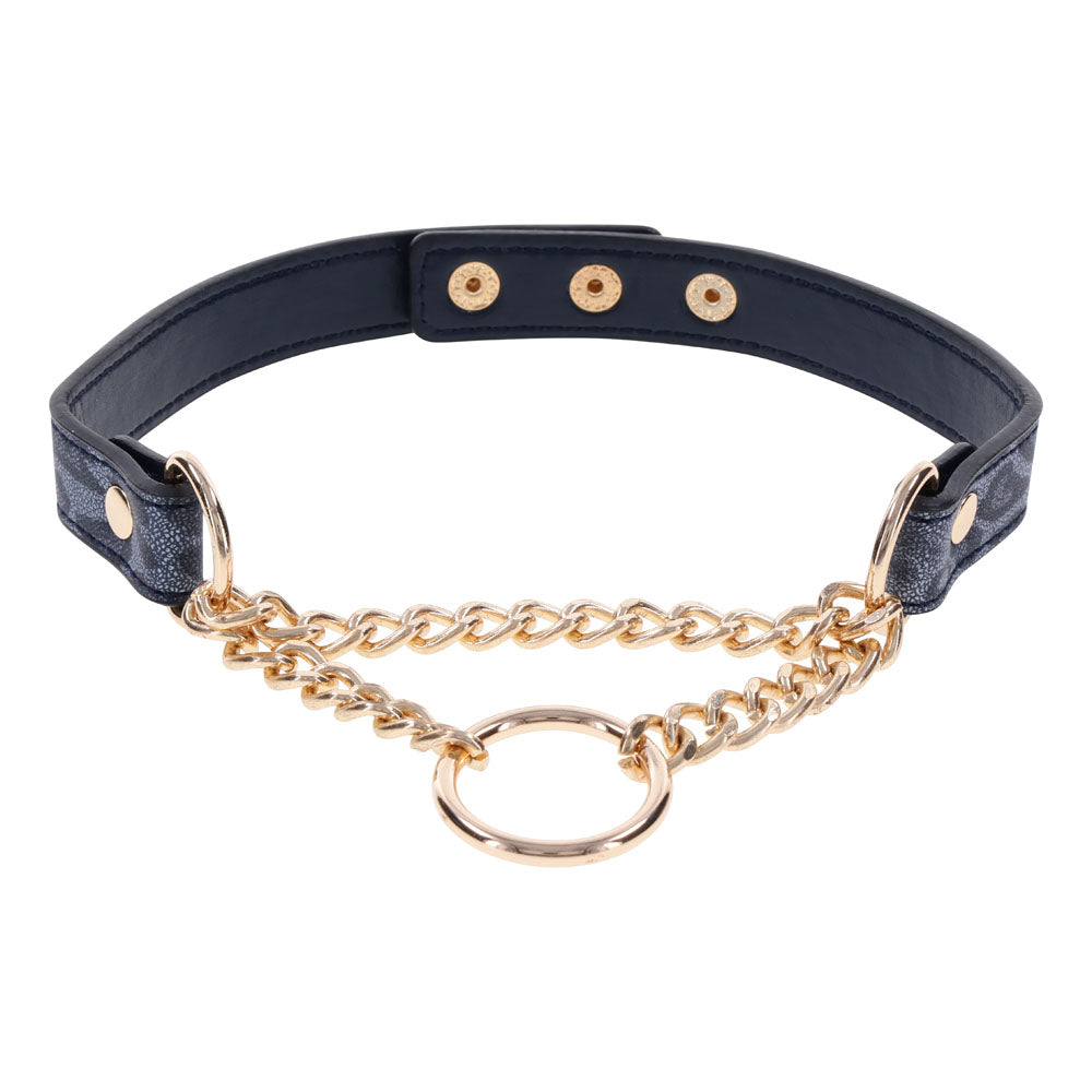 Sex & Mischief Cougar Day Collar Navy and Gold with Chain and Ring Size 38-43 cm > Bondage Gear > Collars & Leashes