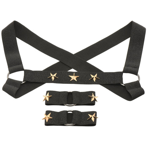 Star Boy Male Chest Harness with Arm Bands Large Black Mens Harnesses