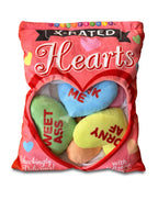 X-Rated Valentine’s Conversation Heart Pillow Set
