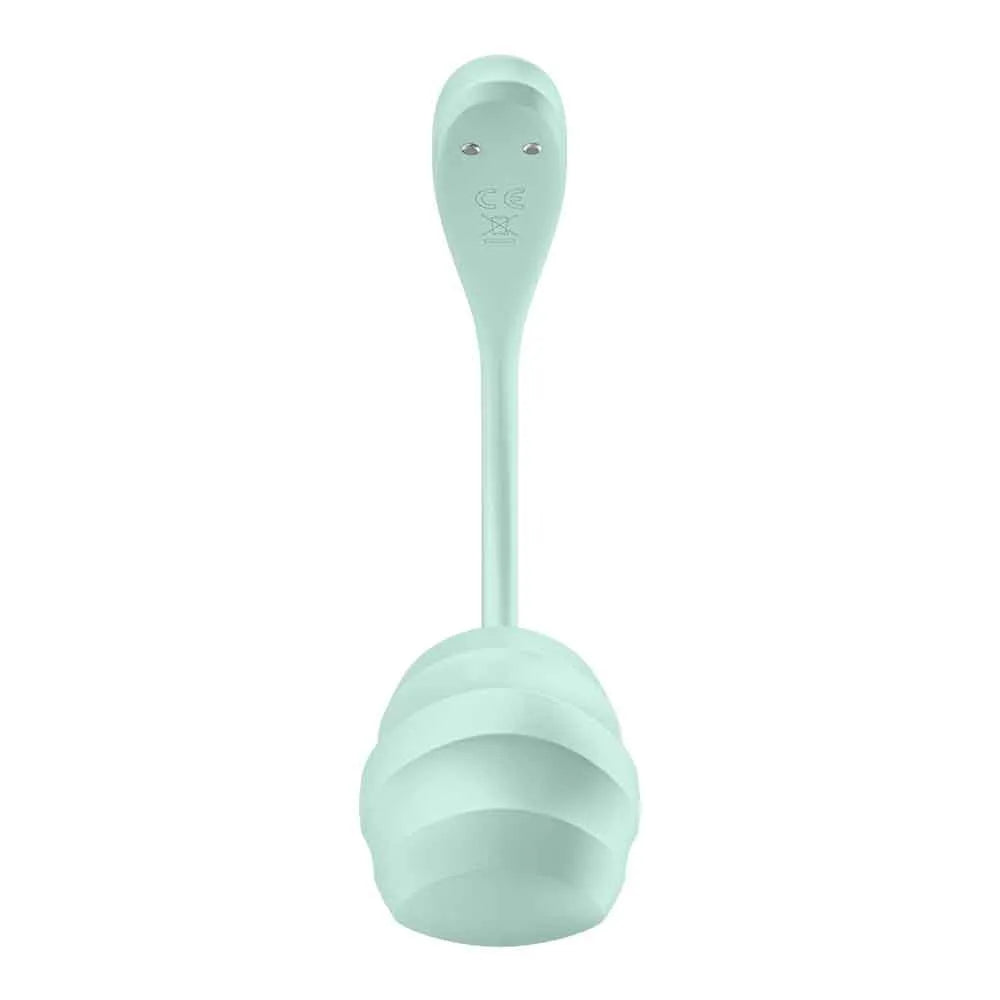 Satisfyer Smooth Petal Wearable Rechargeable G-Spot Stimulator > Sex Toys For Ladies > G-Spot Vibrators