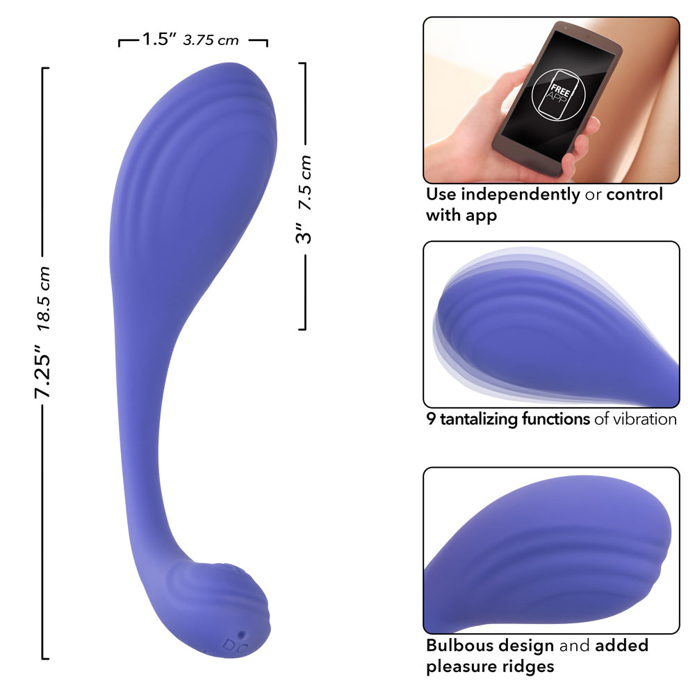 CalExotics Connect™ Kegel Exerciser in Purple with App Control and 9 Vibration Functions > Sex Toys For Ladies > Kegel Exercise