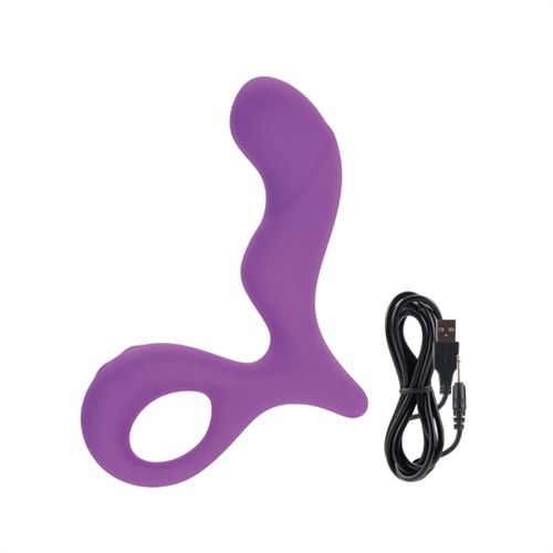 Lust L13 Grey Rechargeable Silicone Adult Vibrator with Controls Purple ANAL TOYS
