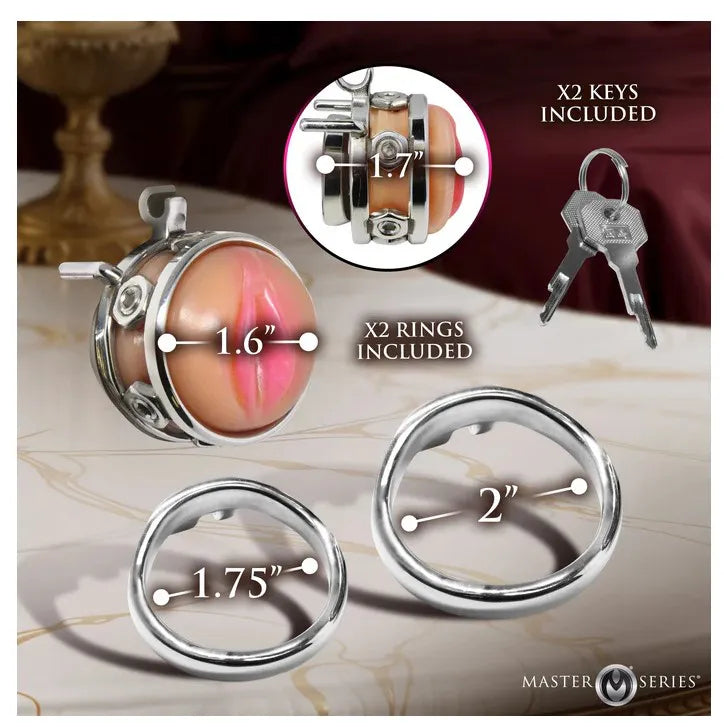 Pussy Boy Metal Chastity Cage – Body-Safe Silicone Chastity Device Secondary image