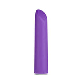 Blush Novelties BULLETS & EGGS Purple Wellness Power Vibe -  10.1 cm USB Rechargeable Bullet 819835025092