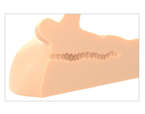 Pipedream Extreme Plus Perfect Ride Light Posable Masturbator Assturbators
