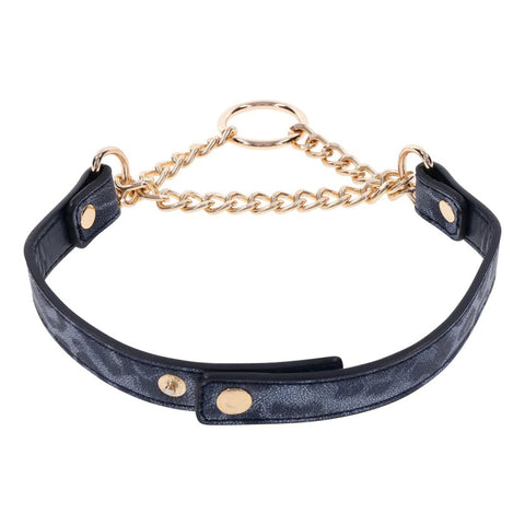 Sex & Mischief Cougar Day Collar Navy and Gold with Chain and Ring Size 38-43 cm Blue > Bondage Gear > Collars