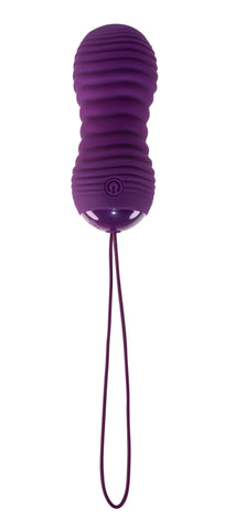 Eager Egg Plum Wireless Vibrating Adult Intimacy Toy Set EGGS