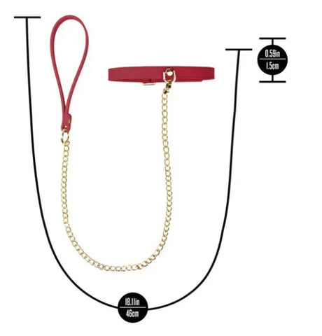 Temptasia Ardor – Adjustable Silicone Collar and Leash Set > Bondage Gear > Collars & Leashes