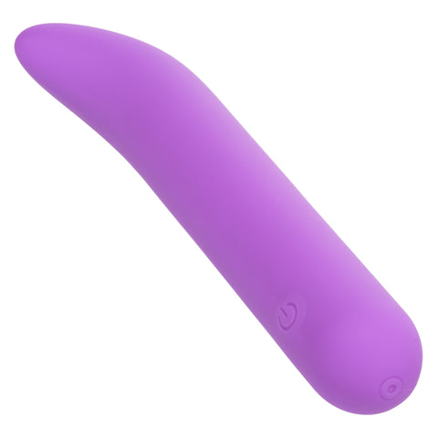 Bliss Liquid Silicone Mini G Vibe Purple USB Rechargeable 10 Speeds BULLETS
