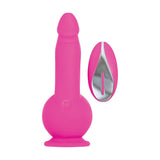 Evolved DONGS Pink Evolved Ballistic -  19 cm USB Rechargeable Vibrating Dong with Balls Motor & Remote 844477018010