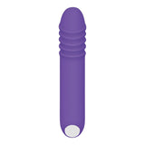 Evolved VIBRATORS Purple Evolved The G-Rave -  15.1 cm USB Rechargeable Vibrator 844477018430