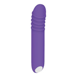 Evolved VIBRATORS Purple Evolved The G-Rave -  15.1 cm USB Rechargeable Vibrator 844477018430