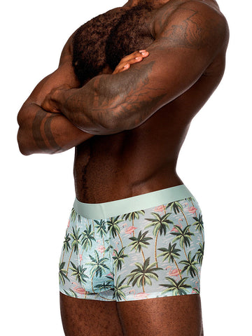 Sheer Prints Seamless Sheer Short Mens Underwear Flamingo XL Mens Trunks