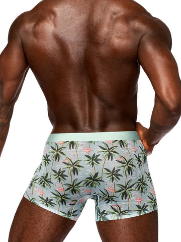 Sheer Prints Seamless Sheer Short Mens Underwear Flamingo XL Multi Mens Trunks