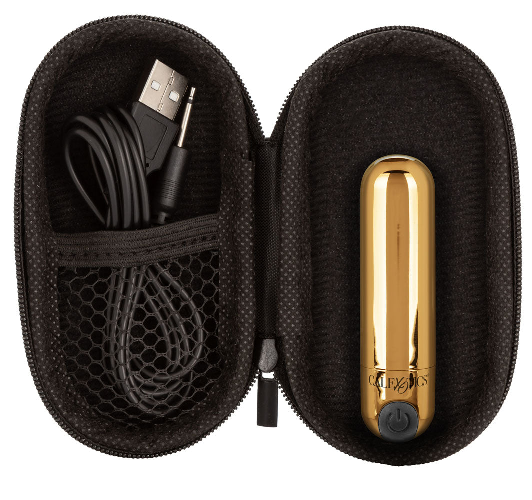 Rechargeable Hideaway Bullet Petite Vibrating Massager with Case BULLETS