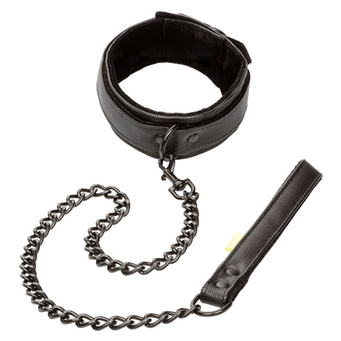 Boundless Collar and Leash > Bondage Gear > Collars