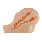 Kylie Realistic Vagina And Ass - Two-Channel Vibrating Masturbator > Sex Toys For Men > Assbators