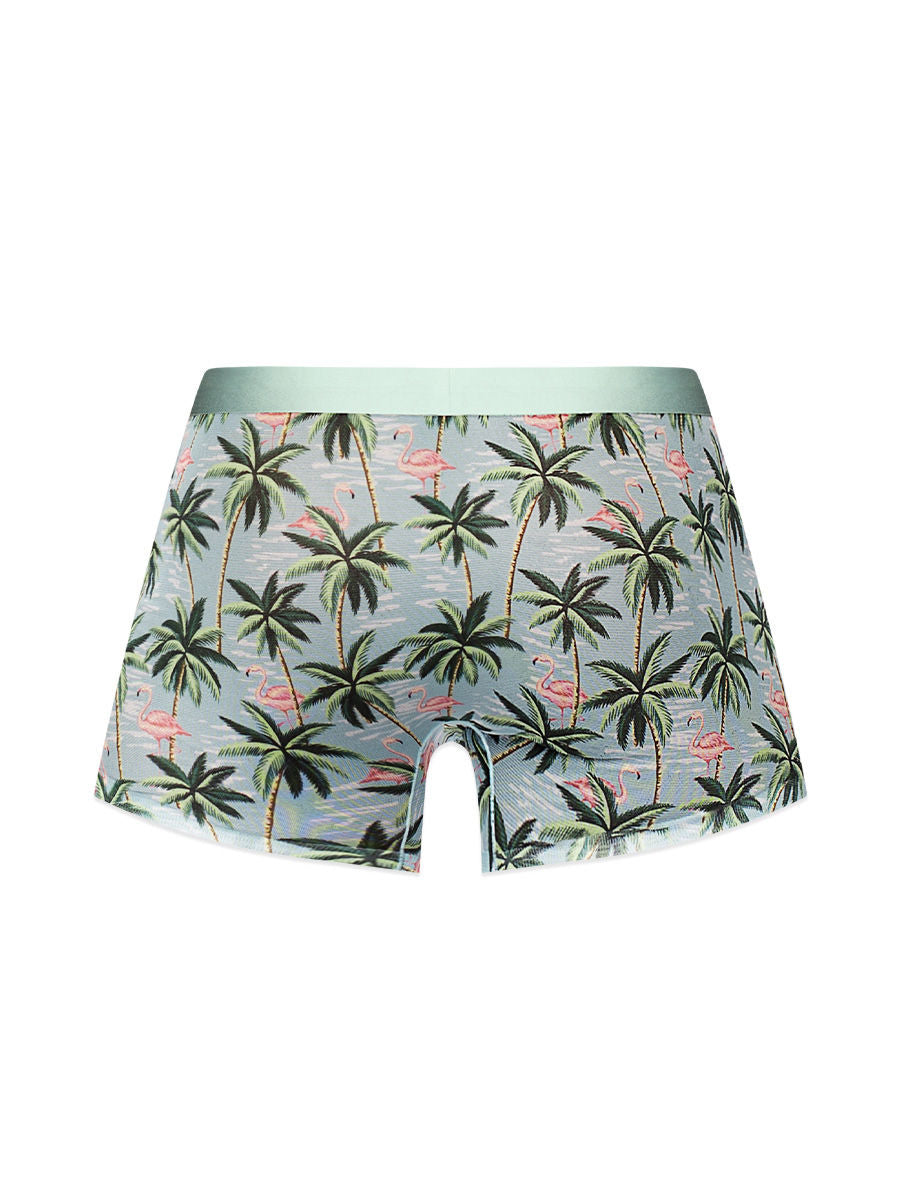 Sheer Prints Seamless Sheer Short Mens Underwear Flamingo XL Mens Trunks