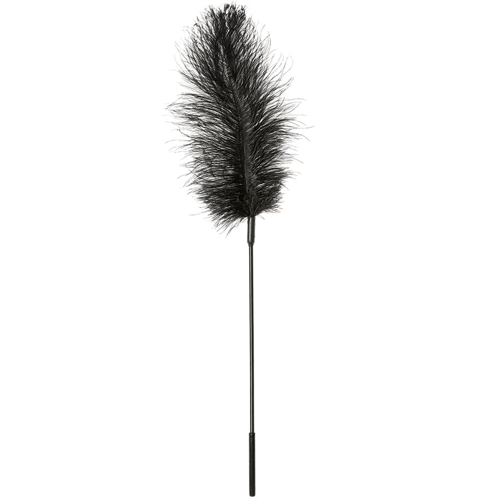 Black Ostrich Feather Tickler > Bondage Gear > Ticklers