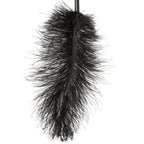 Black Ostrich Feather Tickler > Bondage Gear > Ticklers