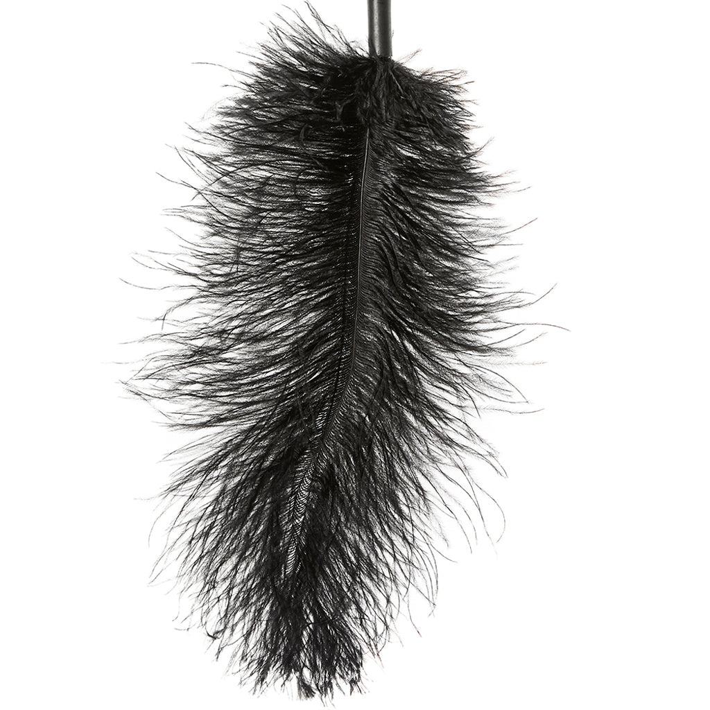 Black Ostrich Feather Tickler > Bondage Gear > Ticklers