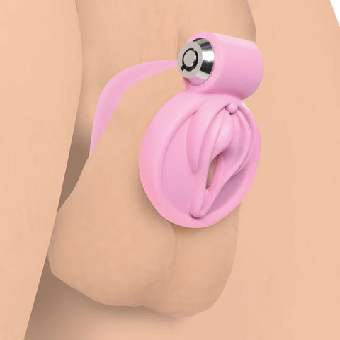Master Series Pussification Vulva Chasity Cage Cages
