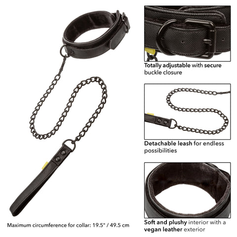 Boundless Collar and Leash > Bondage Gear > Collars