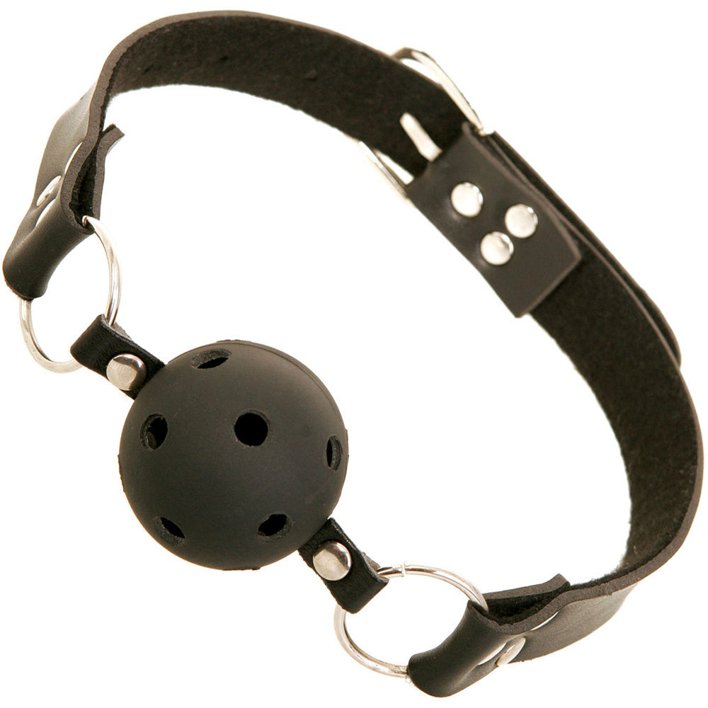 Fetish Fantasy Limited Edition Breathable Ball Gag Toy > Bondage Gear > Gags and Bits