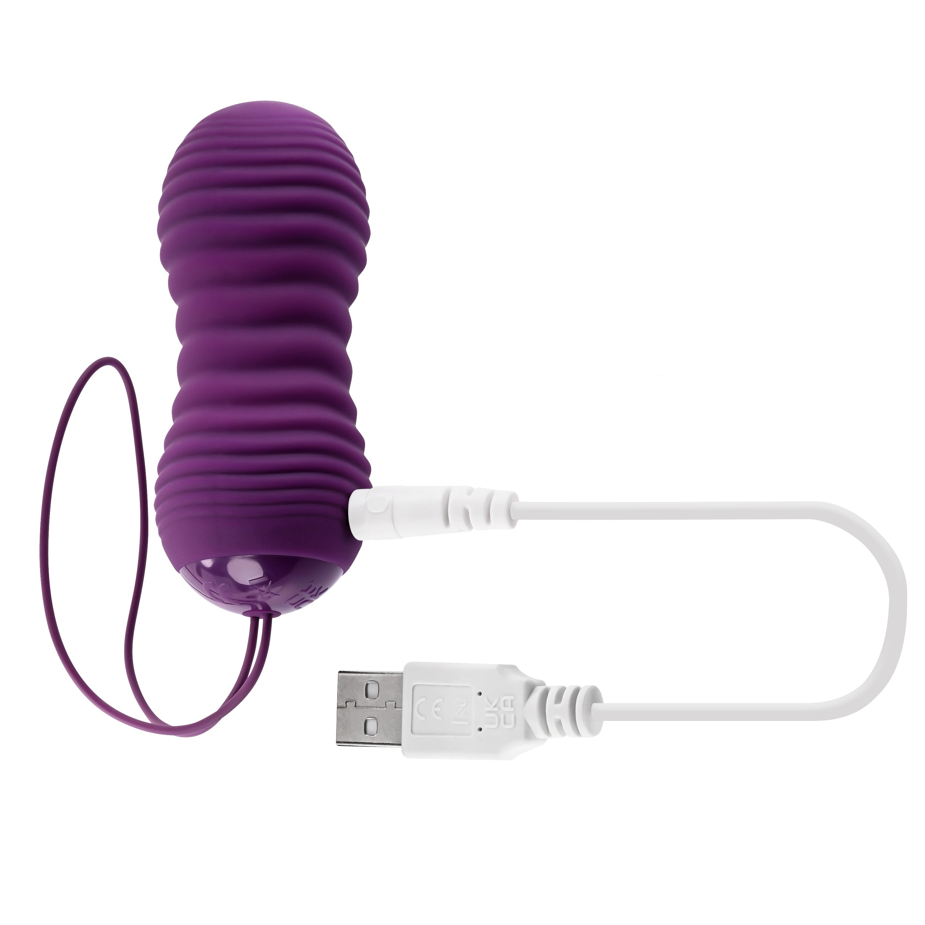 Eager Egg Plum Wireless Vibrating Adult Intimacy Toy Set EGGS