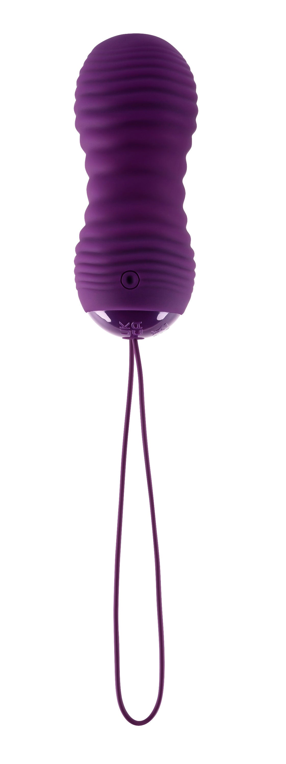 Eager Egg Plum Wireless Vibrating Adult Intimacy Toy Set EGGS