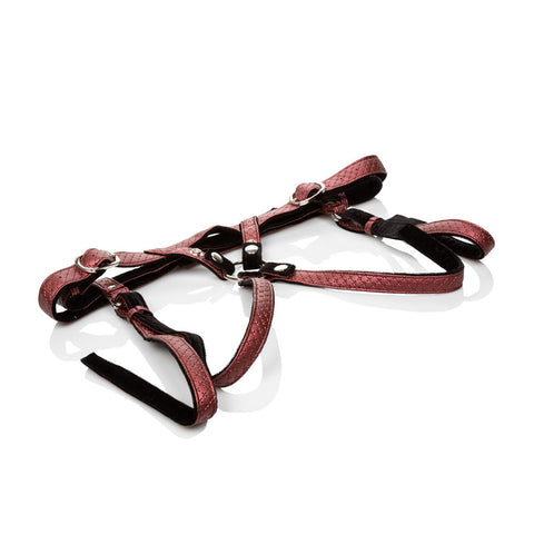 Her Royal Harness The Regal Duchess (Red) – Premium Harness Womens Harnesses