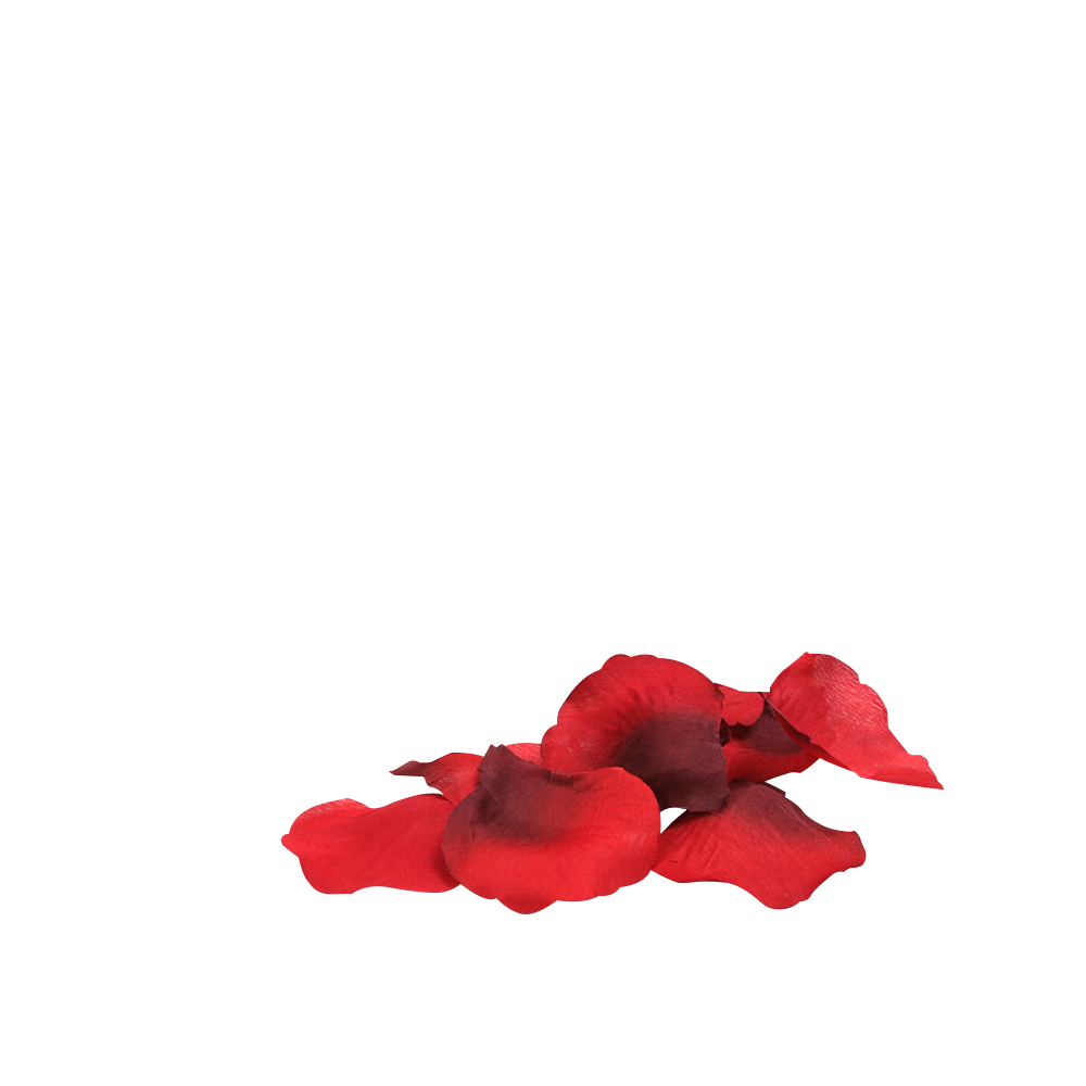 You & Me Bed of Roses Romantic Decoration for Intimate Evenings > Sex Toys > Couples Toys