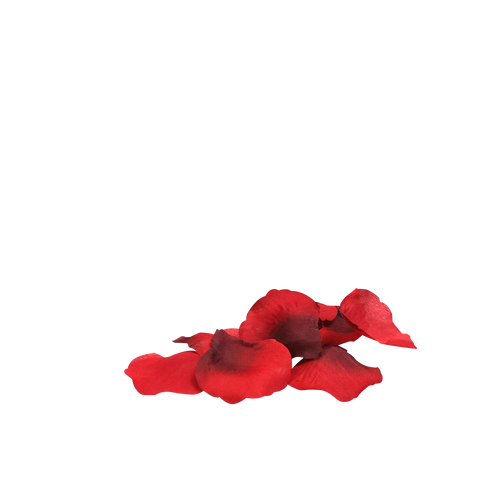 You & Me Bed of Roses Romantic Decoration for Intimate Evenings > Sex Toys > Couples Toys