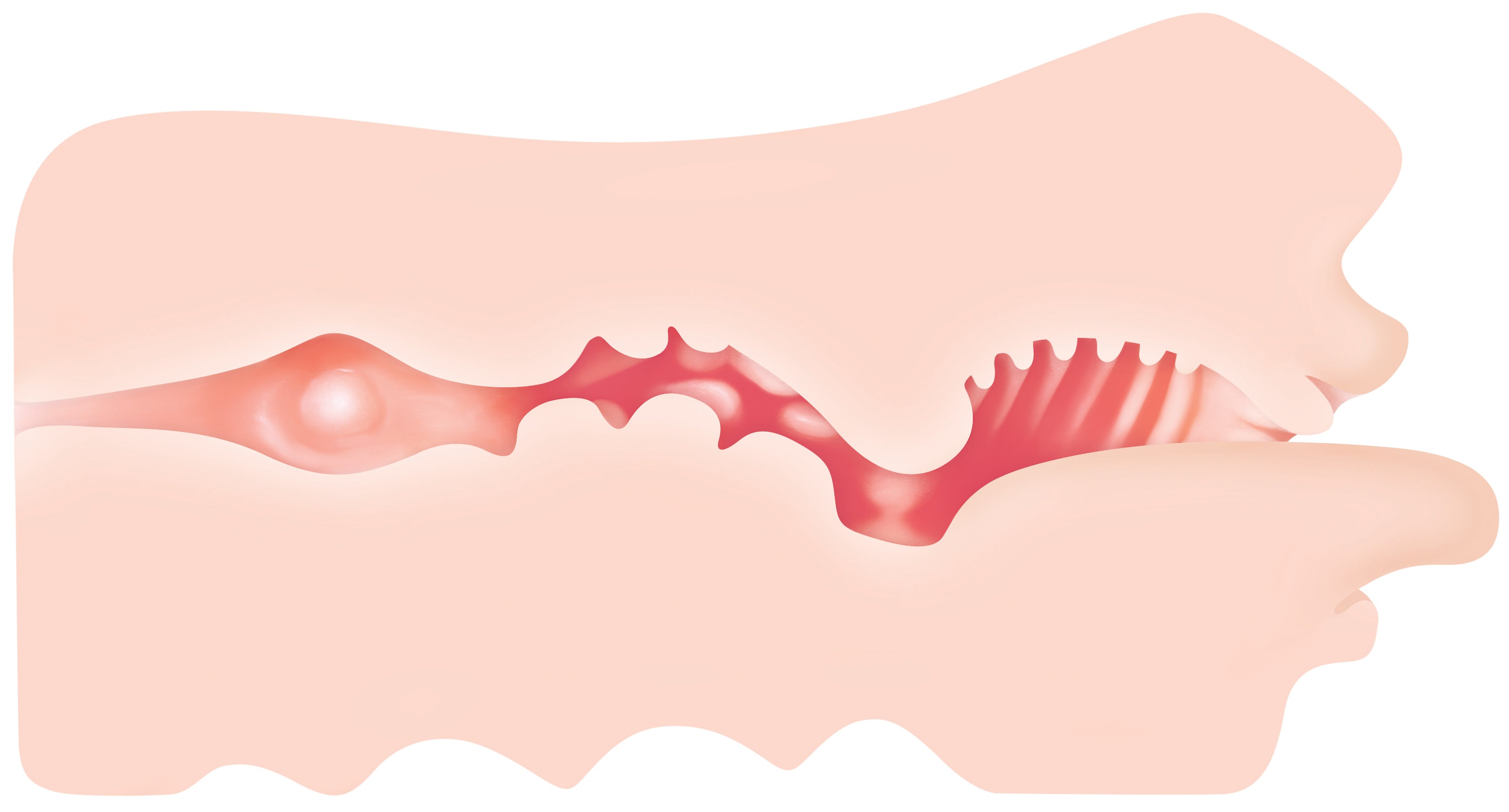 Zero Tolerance Real Mouth Masturbator 6.5 Inch – Realistic Male Masturbator > Sex Toys For Men > Masturbators > Manual