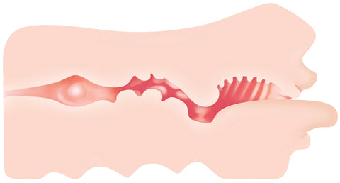 Zero Tolerance Real Mouth Masturbator Stroker 6.5 Inch Strokers - Manual