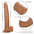 Size Queen 12 Inch Realistic Dildo – Firm 30.5 Cm Dildo > Dildos > Large Dildos