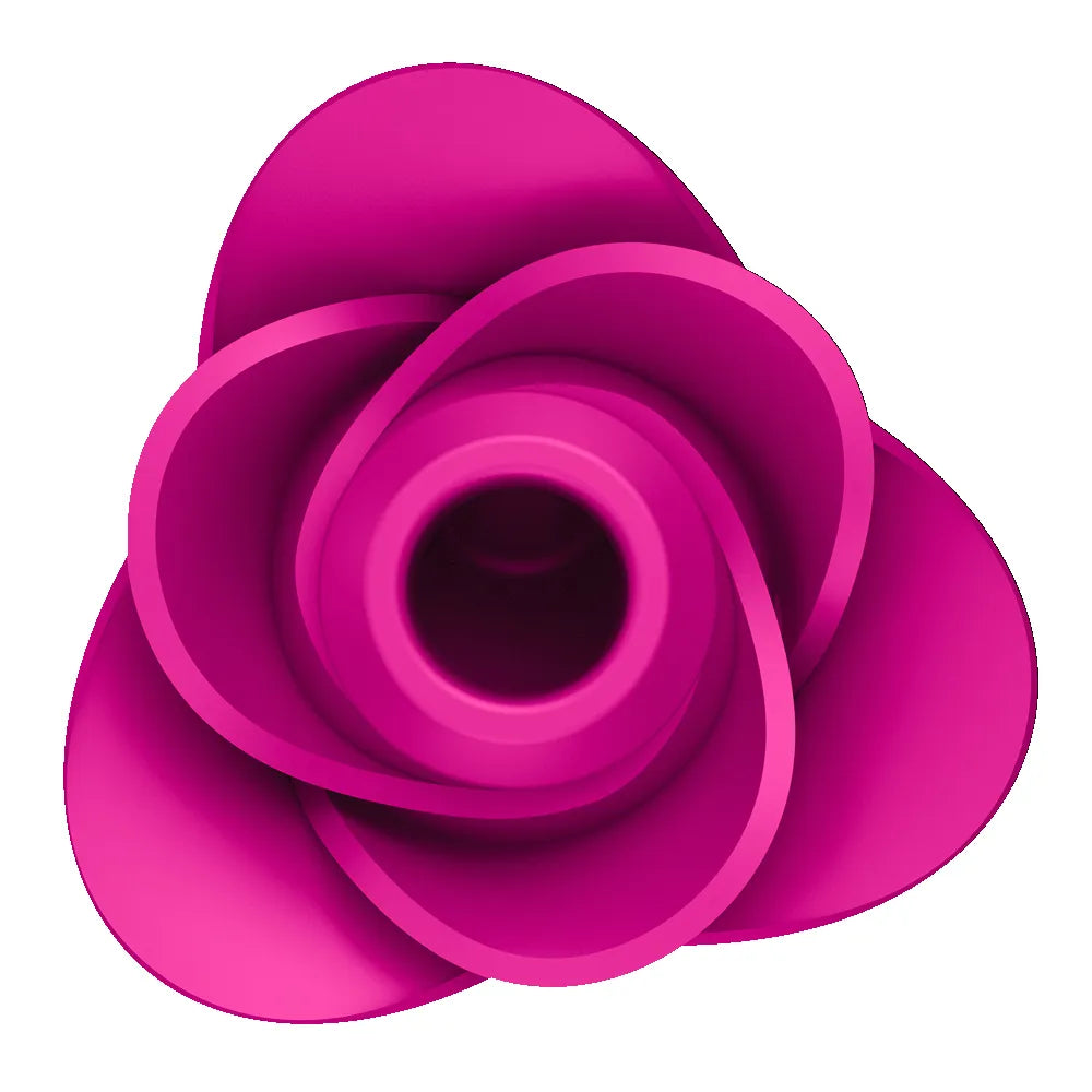 Satisfyer Pro 2 Modern Blossom – Air Pulse Clitoral Vibrator > Sex Toys For Ladies > Air Pulsation