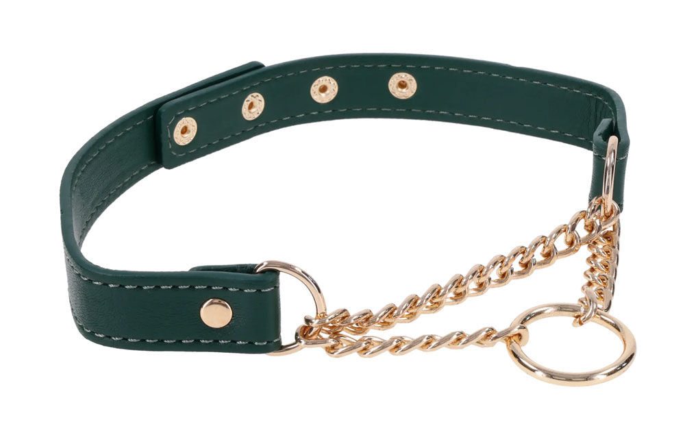 Indica Day Collar (Green) – Adjustable Faux Leather Collar > Bondage Gear > Collars