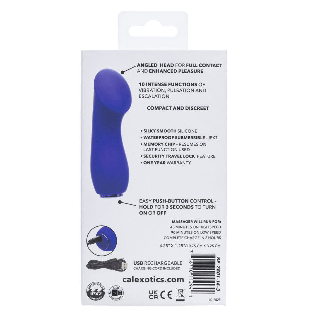 Raven G Pleaser (Purple) – Compact Silicone Mini Massager Purple > Vibrators > Standard Vibrators