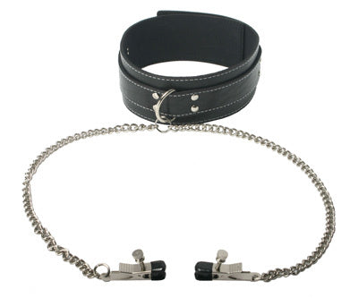 Coveted Collar And Clamp Union