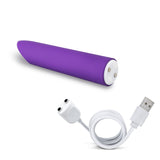 Wellness Power Vibe -  10.1 cm USB Rechargeable Bullet