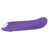 Evolved VIBRATORS Purple Evolved The G-Rave -  15.1 cm USB Rechargeable Vibrator 844477018430