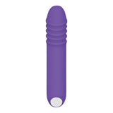 Evolved VIBRATORS Purple Evolved The G-Rave -  15.1 cm USB Rechargeable Vibrator 844477018430