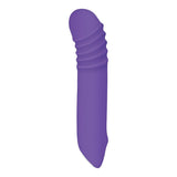 Evolved VIBRATORS Purple Evolved The G-Rave -  15.1 cm USB Rechargeable Vibrator 844477018430